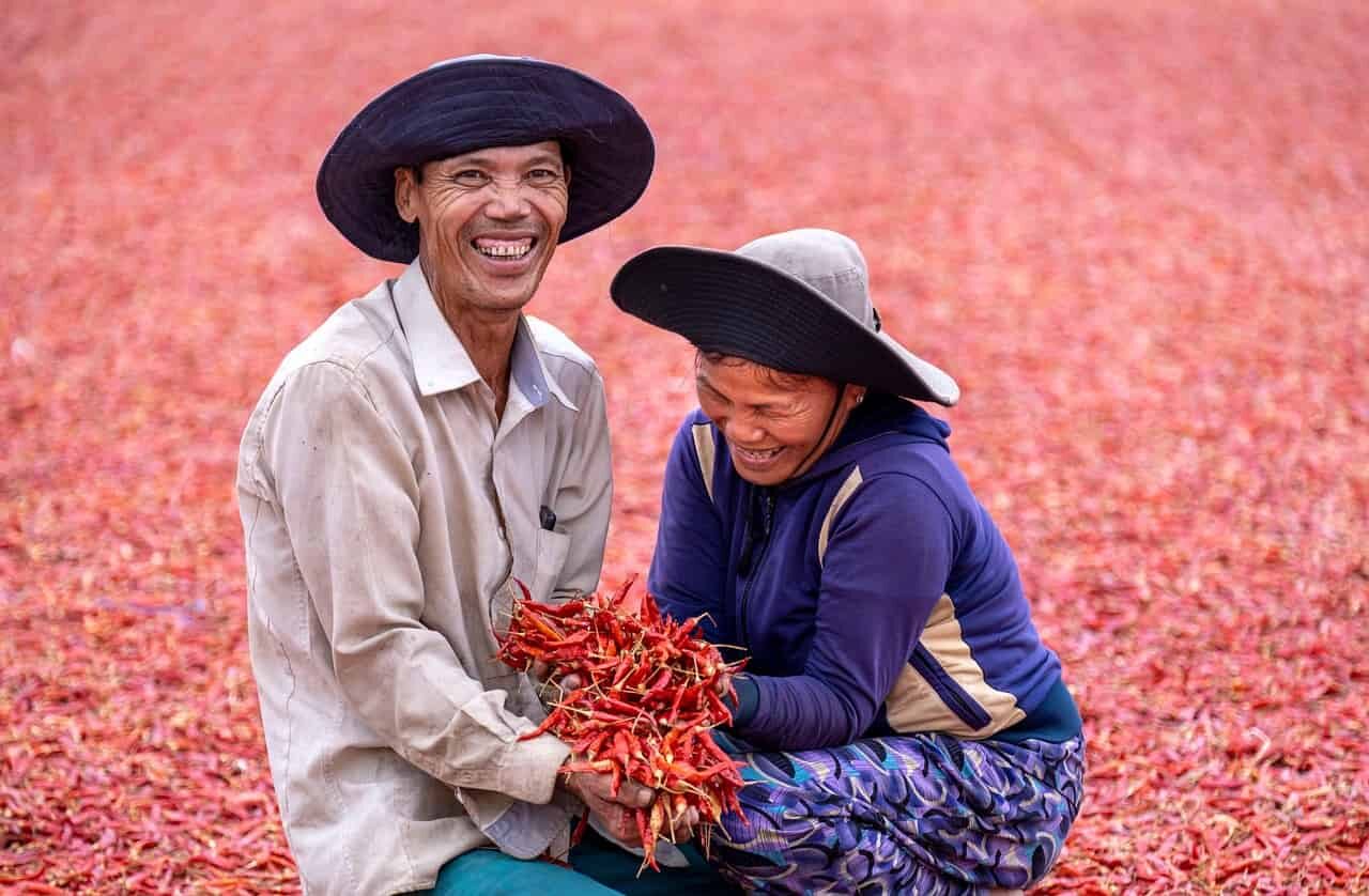sili